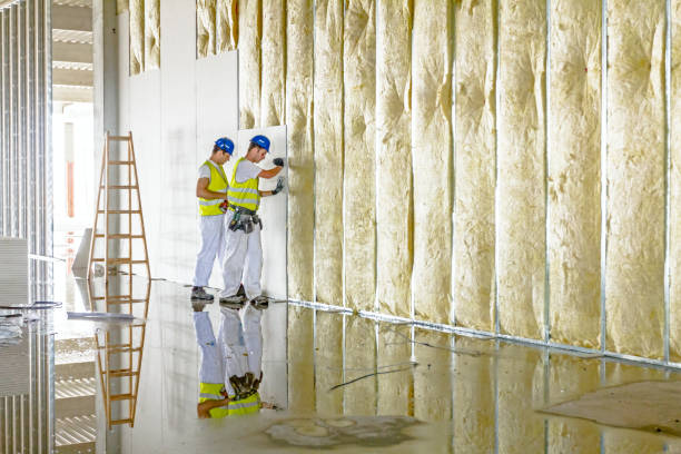 Best Residential Insulation in Okemos, MI
